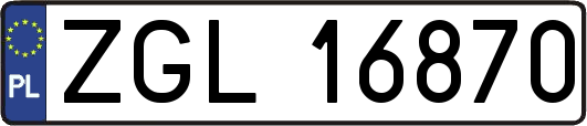 ZGL16870