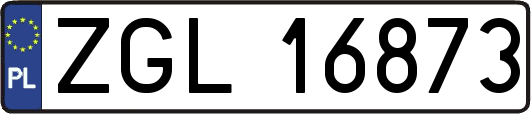 ZGL16873