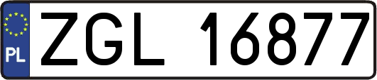 ZGL16877
