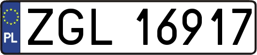 ZGL16917
