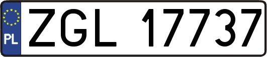 ZGL17737