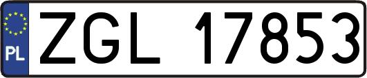 ZGL17853