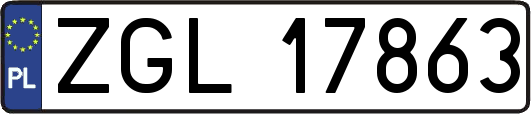 ZGL17863