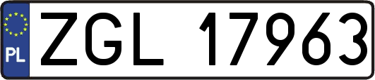 ZGL17963