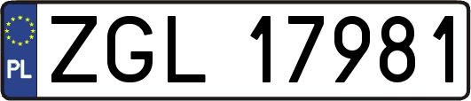 ZGL17981