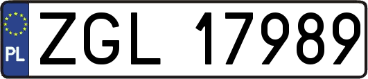ZGL17989
