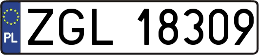 ZGL18309