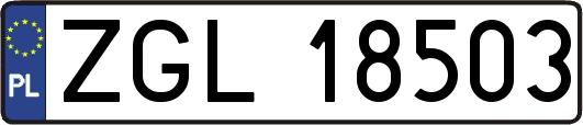 ZGL18503