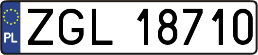ZGL18710