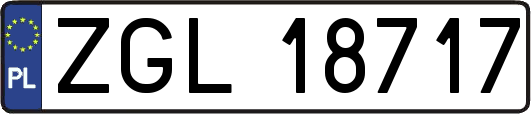 ZGL18717