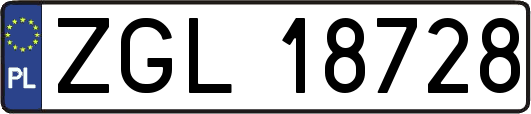 ZGL18728