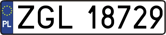 ZGL18729