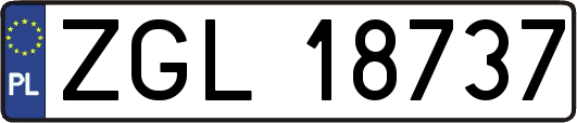 ZGL18737