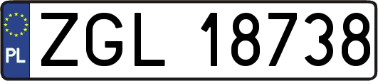 ZGL18738