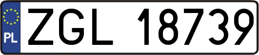 ZGL18739