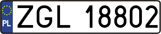 ZGL18802