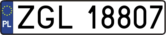 ZGL18807
