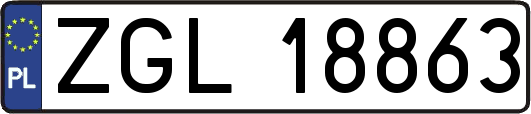 ZGL18863