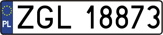 ZGL18873