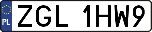 ZGL1HW9