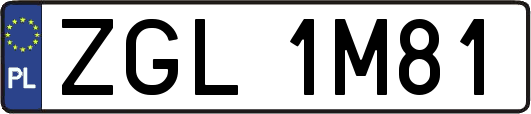 ZGL1M81