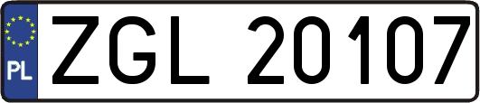 ZGL20107