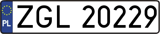 ZGL20229