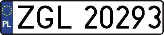 ZGL20293