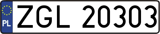 ZGL20303