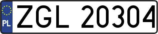ZGL20304