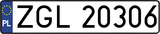 ZGL20306
