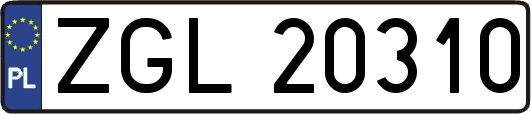 ZGL20310