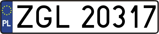 ZGL20317