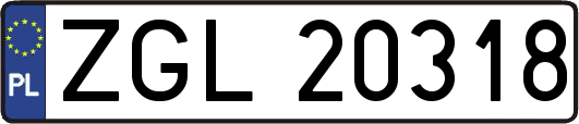 ZGL20318