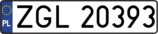 ZGL20393