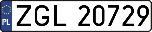 ZGL20729