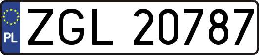 ZGL20787