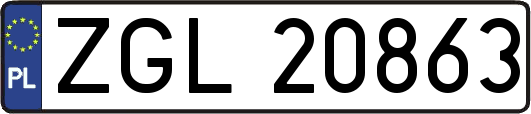 ZGL20863