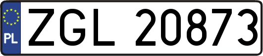 ZGL20873