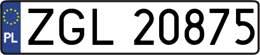 ZGL20875