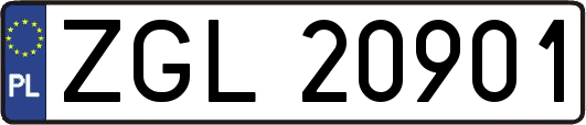 ZGL20901