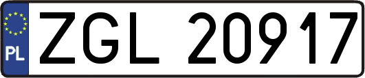 ZGL20917