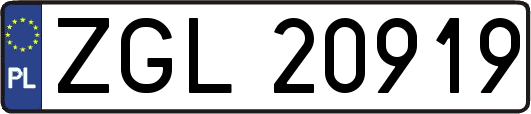 ZGL20919