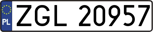 ZGL20957