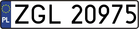 ZGL20975