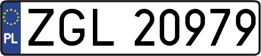 ZGL20979