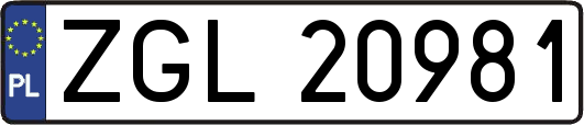 ZGL20981