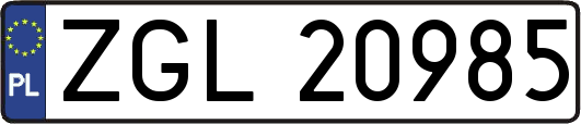ZGL20985