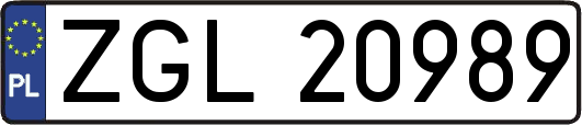 ZGL20989