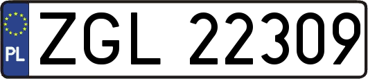 ZGL22309